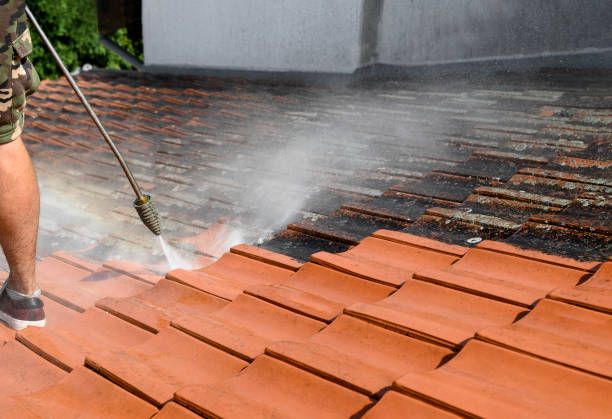 Best Affordable Power Washing  in Walnut, CA