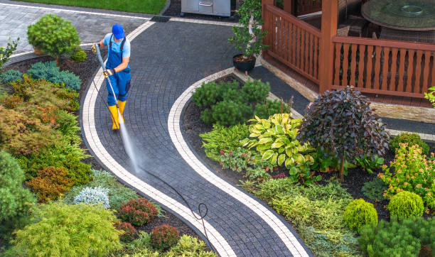 Best Roof Pressure Washing  in Walnut, CA